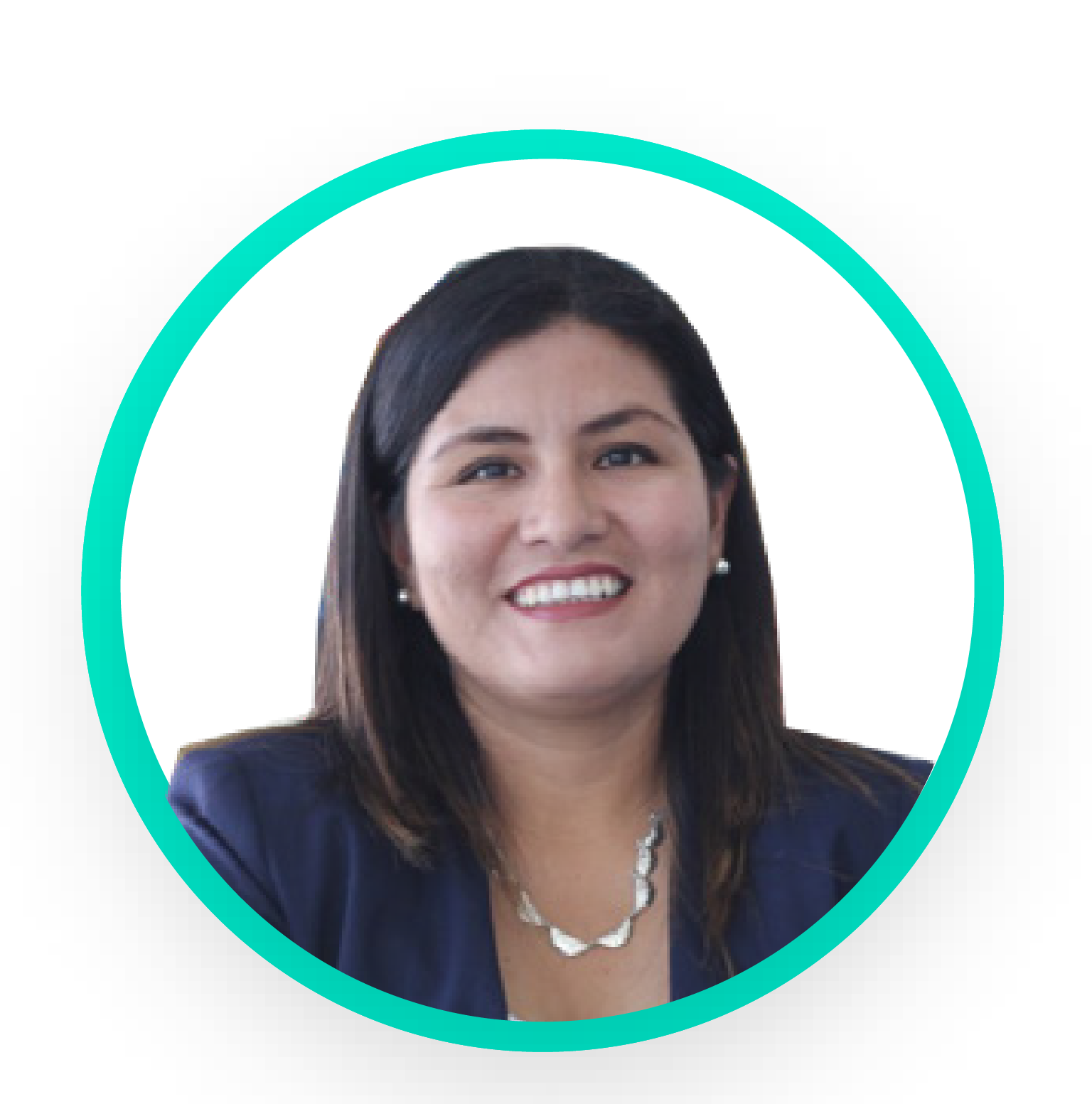 Descripción de la imagen